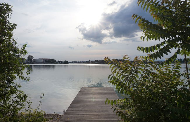 Apartment Dolfi - Foto 16