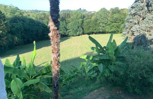 Le Petit Bourdieu - Chevreuil - Foto 6