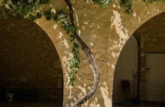 Gite dans un Mas Provençal avec Jacuzzi - Foto 22