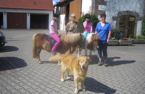 Appartementanlage Marianne - Foto 14