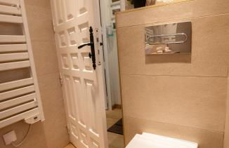 Le pic-vert - Foto 34