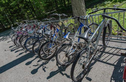 The Rushes - Foto 47