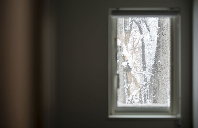 LYS GRACIEUX【Ezo Fuji hoothills】 - Photo 53