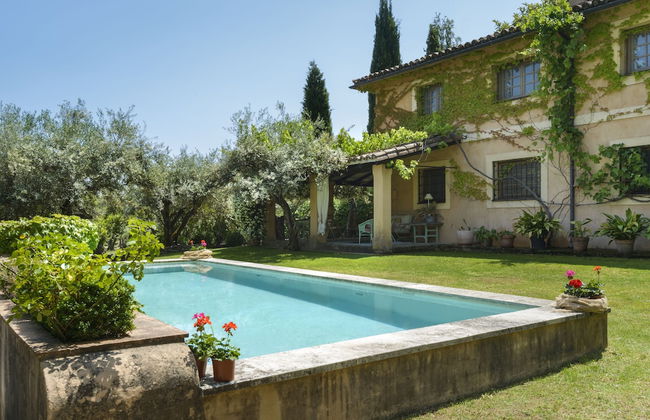 Vaquería Canta el Gallo - Photo 29