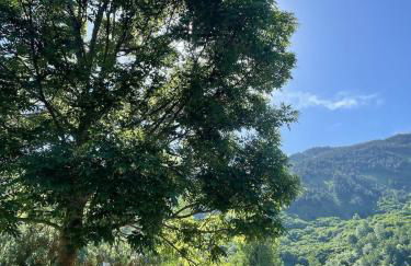 Ochalet Bagergue - Foto 25