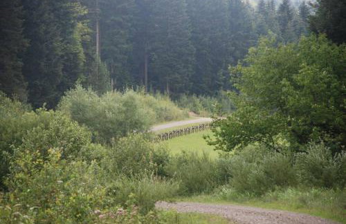 Agroturystyka Ropienka - Foto 9