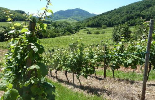 Gitzelbrunnen - Foto 4