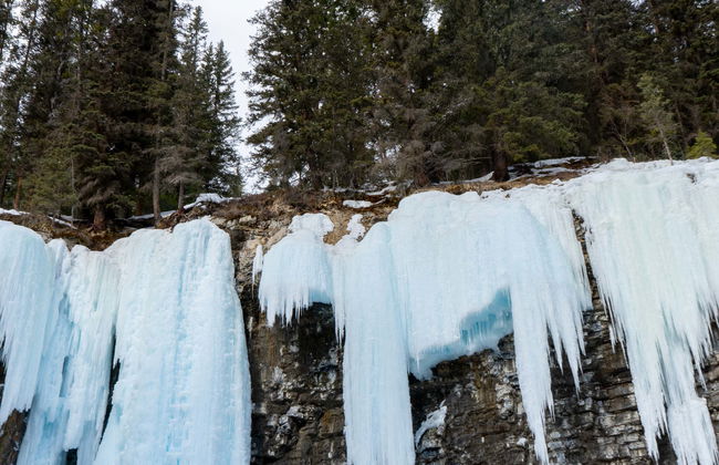 Excursión a las cascadas congeladas del Cañón Johnston - Foto 1