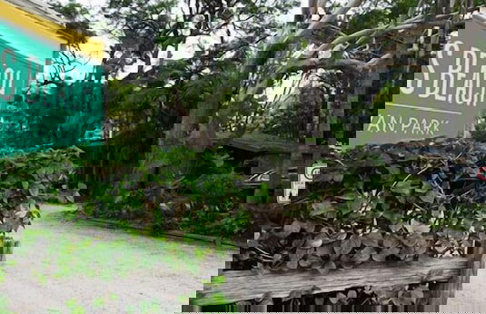 Flynns Beach Caravan Park - Foto 51