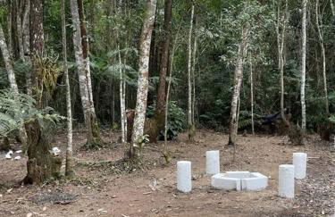 Bosque na Montanha Encantada - Foto 55