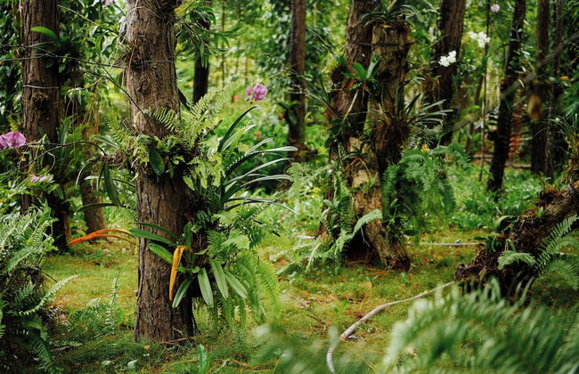 Suoi Rao Ecolodge - Foto 21