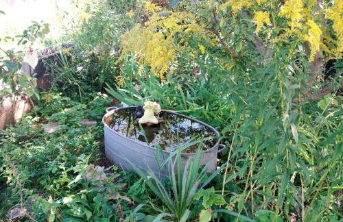 Ferienwohnung Schwalbennest - Foto 44