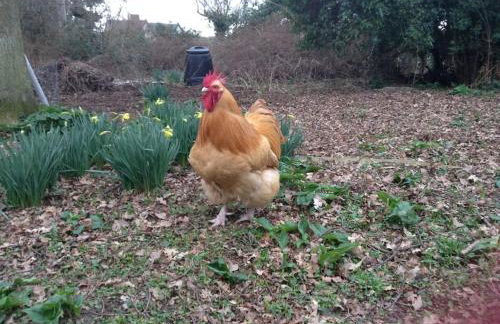 The Old Dairy, Valley Farm, Middleton - Foto 16