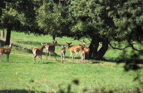 La Résidence de Lorelei - Foto 14