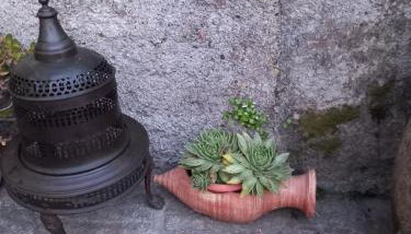 Il Paradiso di Adriana - Foto 3