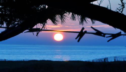 Maison de vacances au bord de la plage - Foto 2, Garden view
