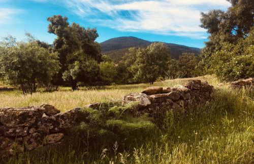 Acogedora Casa con Patio en El Tiemblo (Ávila) - Photo 30