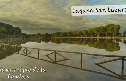 Guayantovel Doñana - Foto 23