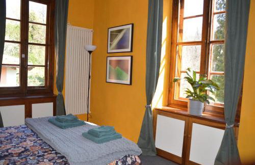 Villa Rollier, Arte e Meditazione - Foto 12