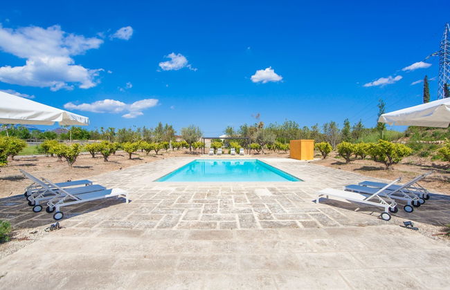 Finca Can Pol in Inca - Photo 34