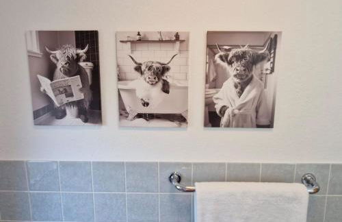 NEU! FeWo AllerGrün, Balkon mit Blick in die Natur - Photo 16