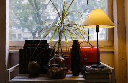 Studio apartment Manu - Foto 16