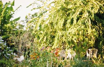 The Artist's Farm - Foto 67