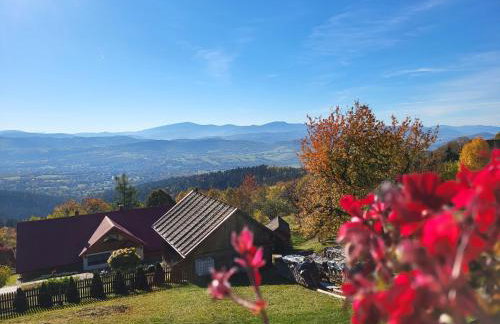 Pieśń Poranka Domek - Foto 5