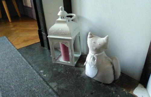 L'Ajoussienne - Foto 49