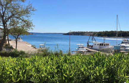 Olive House - Foto 65