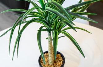 Duplex : Plage 300m, Clim, Netflix - Photo 54