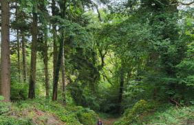 Gardeners Cottage Apartment - Foto 22