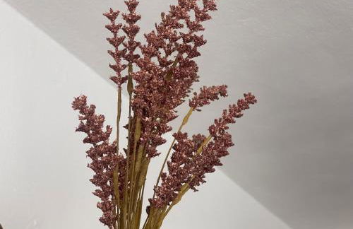 Vete Polo Segau, Seguencu - Foto 8