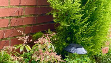 APARTAMENTO con Jardín en Bádames - Foto 3