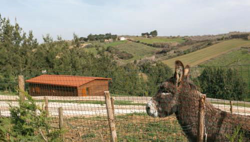 Quinta dos Castanheiros - Foto 4