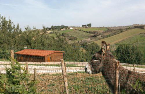 Quinta dos Castanheiros - Foto 4