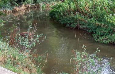 The Little Barn - Foto 18