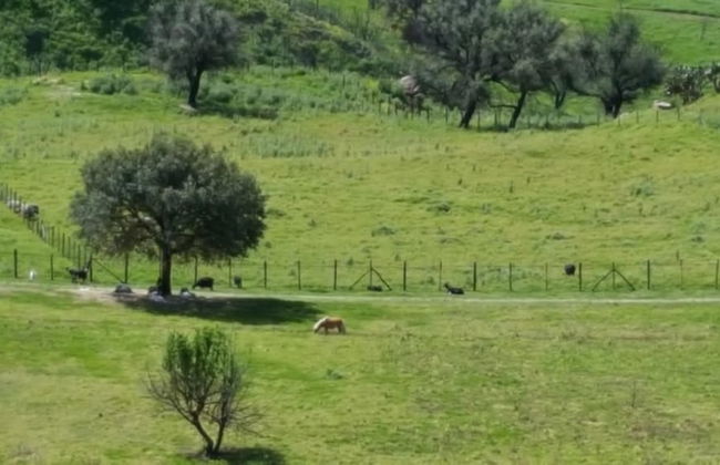 Agriturismo Mama Lina - Photo 32