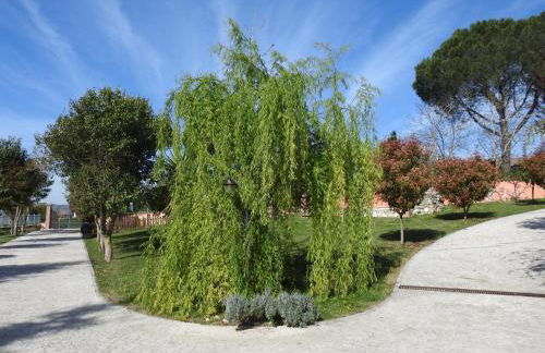 Alloggio Turistico Confortevole Passo Corese - Foto 2