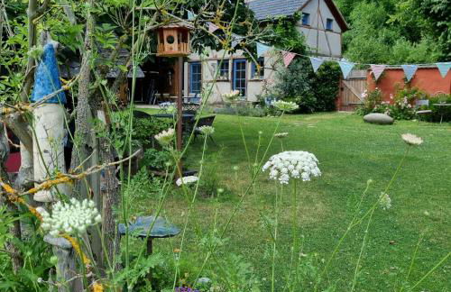 Ankommen, Wohlfühlen und die Natur genießen - Foto 19