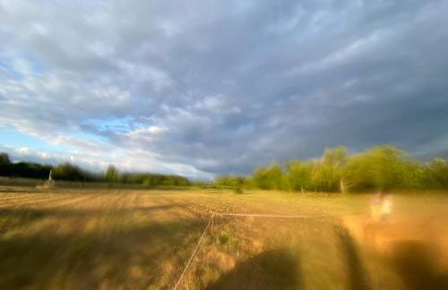 Le Bon Chemin gite - Foto 48