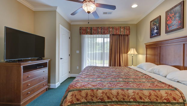 City Bear - Foto 4, Habitación