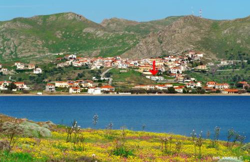 Panorama Plati - Foto 10