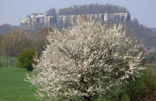 Ferienwohnung Büchsenhof - Foto 18