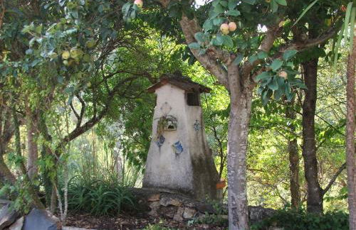 Chão da Lousa - Foto 16