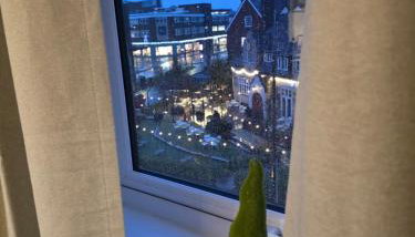 Solihull 10 mins to NEC and Airport Free Parking - Foto 3