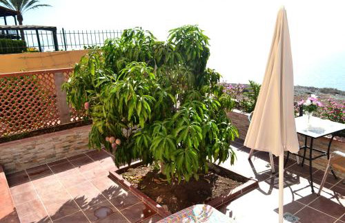Apartamentos Casa Junonia - Foto 10