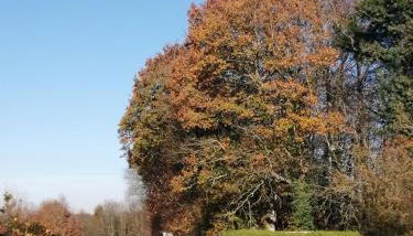 au monde mystérieux maison-canon-lan - Foto 4