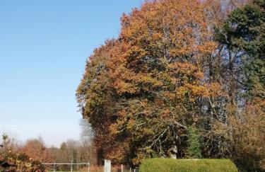 au monde mystérieux maison-canon-lan - Foto 4