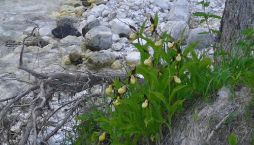 Agriturismo Prati Oitzinger - Foto 5